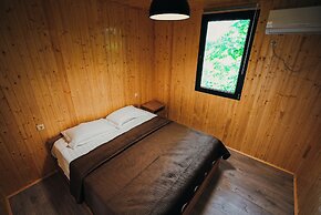 inwoods Tsikhisdziri