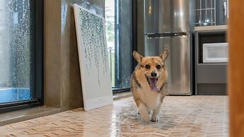 Taean Aloha Oe Pet Pool Villa