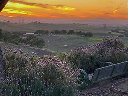Hidden Acre Vineyard