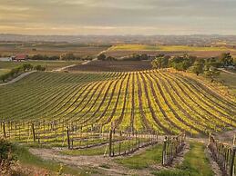 Hidden Acre Vineyard