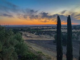 Hidden Acre Vineyard