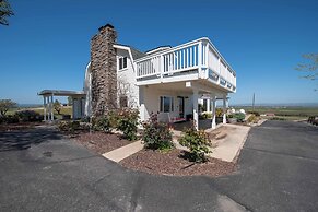 Hidden Acre Vineyard