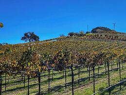 Hidden Acre Vineyard