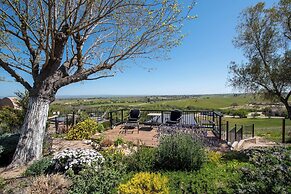 Hidden Acre Vineyard