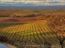 Hidden Acre Vineyard