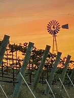 Hidden Acre Vineyard