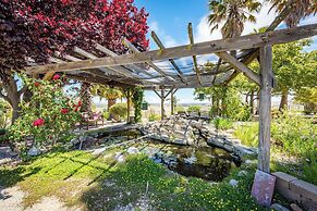 Hilltop Oasis