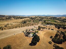 Hilltop Oasis