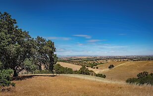 Hilltop Oasis