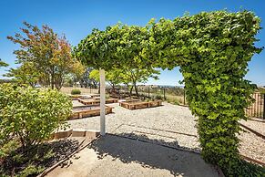 Hilltop Oasis