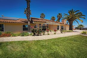 Hilltop Oasis