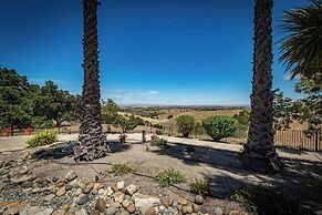 Hilltop Oasis