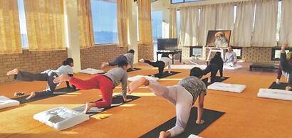 The Shilaroo Project