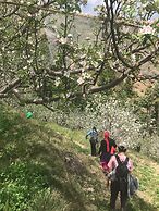 The Shilaroo Project