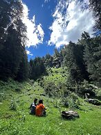 The Shilaroo Project