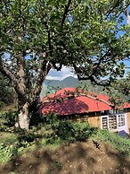 The Shilaroo Project