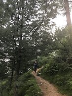 The Shilaroo Project