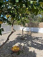 Ibiza Sunshine Hideaway