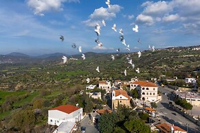 Olive Cottage A True Cypriot Escape