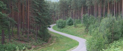 5Bd House In The Forest