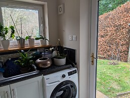 5Bd House In The Forest