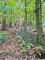 5Bd House In The Forest