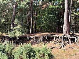 5Bd House In The Forest