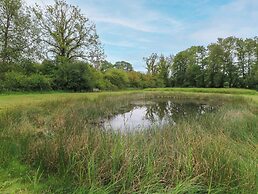 Silver Copse