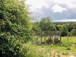 The Cow Shed
