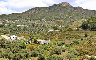 Cortijo A Navas in Frigiliana