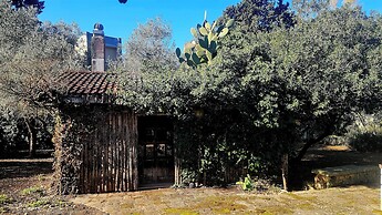 La Pineta