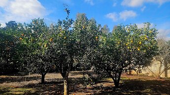 La Pineta