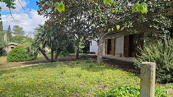 La Pineta