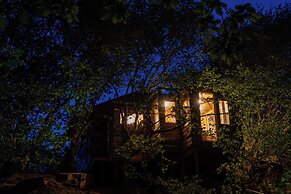 Treehouse Cabin Wilderness Escape