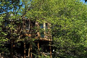 Treehouse Cabin Wilderness Escape