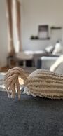 Charleroi Cozy Home