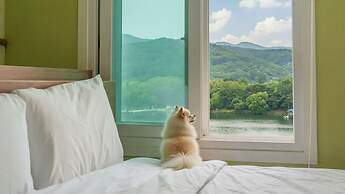 Gapyeong Nami Island Pet-friendly Spa Pe