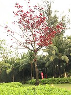 Kalia Phu Quoc Hotel 2