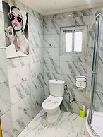 The Penthouse Essentials