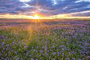 Bungalow in Texel Near Beach & Forest