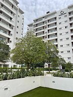 Meraki Homes at The Gallery