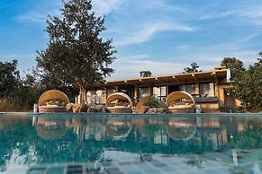 Outpost 12 - A Sinali Experience - Kanha