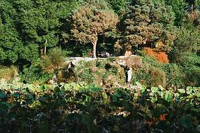 Tranquil 1BR Villa in Revislate