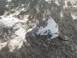 Starbase18 Bed&Breakfast