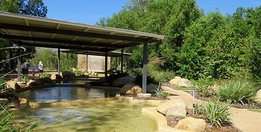 Zen Pandanus Point Pool - Backyard - Balcony