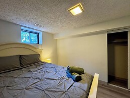 Urban Nest