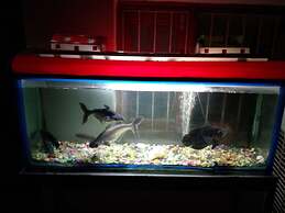 Siddhivinayak Temple Guest House