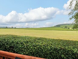 12 Field View