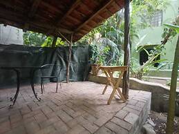 Botanical Studios Sayulita