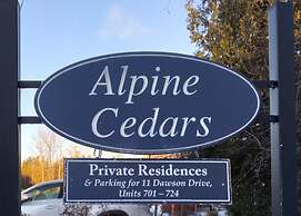 The Nordic -Central Collingwood Condo